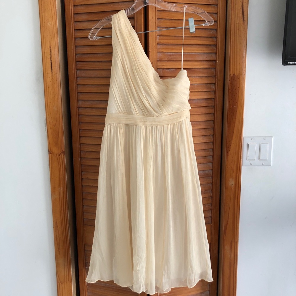 NEW J. Crew Chiffon Silk Kylie Dress Champagne Size 6 Tall (T6) - Picture 7 of 7